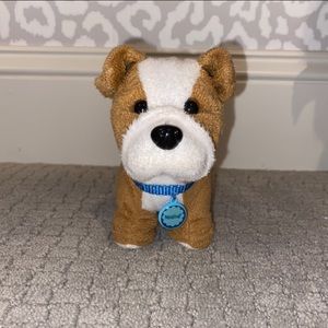 American girl dog Meatloaf